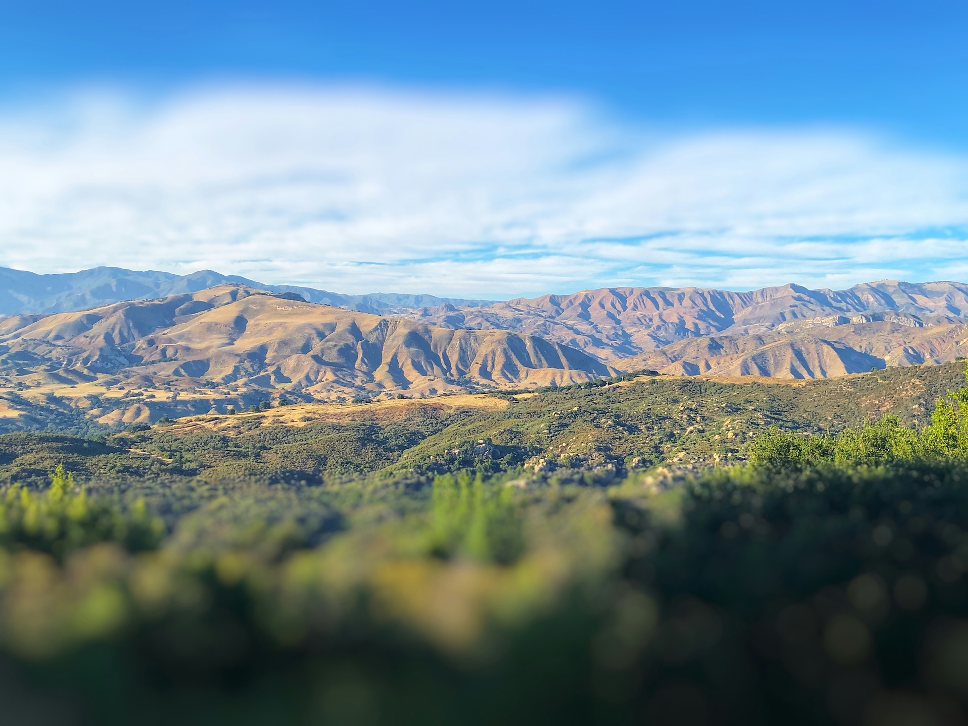 INTUS & The BEAD Program: Connecting California’s Gold Country and Central Valley
